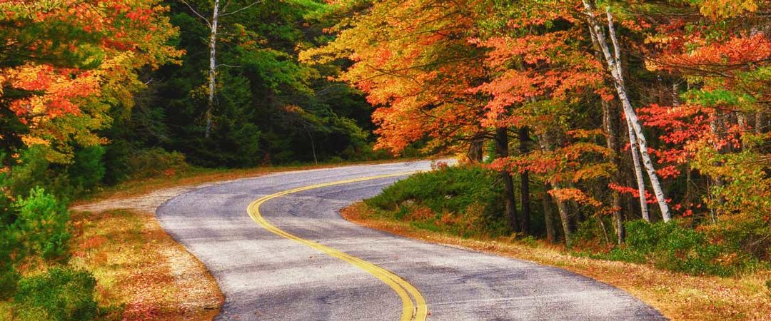 Autumn-Driving-Tips
