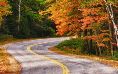 Autumn Driving Tips